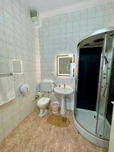 皮亚特拉-尼亚姆茨PENSIUNEA ANA的浴室配有卫生间、盥洗盆和淋浴。