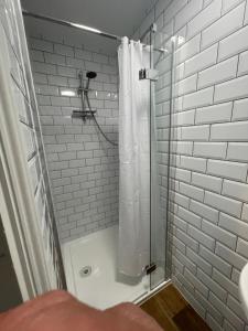 纽基Skyline Guesthouse的带淋浴和浴帘的浴室