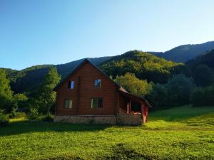 KrasnaЗакарпатский сруб的山地的木屋