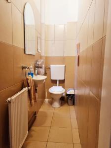 克卢日-纳波卡Transylvania Hostel的一间带卫生间和水槽的小浴室