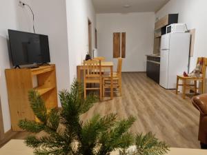 诺夫梅斯托纳马瑞夫Chatky a apartmány Apollo na Vysočině的一间客厅,配有圣诞树和一个厨房