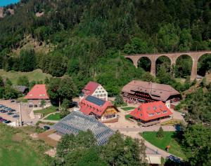 布莱特瑙Hotel Hofgut Sternen的村庄空中景色,设有火车桥