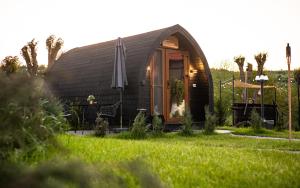 布朗Glamp In Style Pods Resort的小屋,在草地上配有雨伞