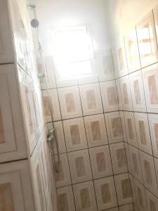 圣皮埃尔Studio avec jardin clos et wifi a Saint Pierre的带淋浴的浴室,天花板上配有灯