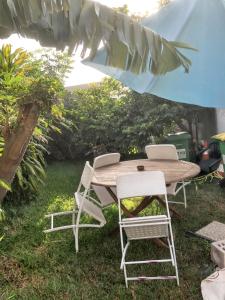 圣皮埃尔Studio avec jardin clos et wifi a Saint Pierre的院子里的一张木桌和椅子