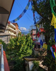 博卡拉Hotel Mountain View - Lakeside Pokhara的享有城市美景,设有建筑和祈祷旗帜