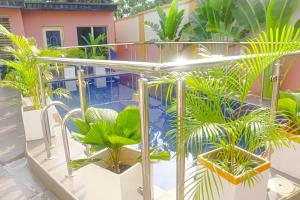 伊凯贾Sugarland Hotel and Suite的一个带植物和游泳池的阳台