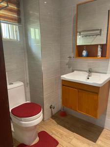 阿克拉Chez nous house的一间带卫生间、水槽和镜子的浴室