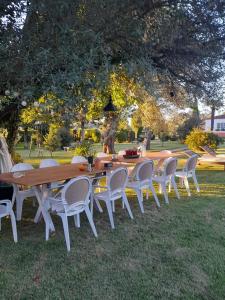 布拉加Quinta da Maínha - Charming Houses的草木桌子和椅子