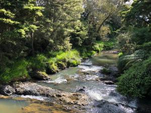 Cone Hill Farmstay - with bush and river walks - 80 sqm self contained