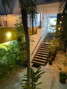 巴亚尔塔港Ixaya的大堂设有种植了植物和棕榈树的楼梯