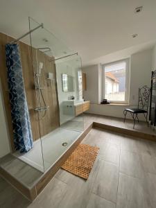 海因斯贝格Ferienwohnung Delta的带淋浴和玻璃淋浴间的浴室