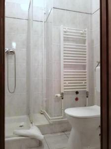 巴拉顿城堡PSZ Hotel Beach Földvár的带淋浴和卫生间的浴室