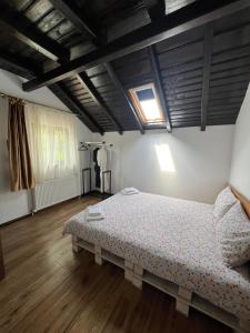 布泽乌Pensiunea Roxana的铺有木地板的客房内设有一间卧室和一张床。