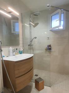 萨尔泰纳Charmant appartement en Rez de jardin的一间带水槽和淋浴的浴室