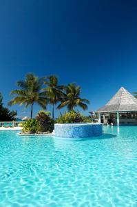 斯卡伯勒Starfish Tobago的棕榈树环绕的度假村游泳池