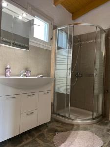 圣佐治欧斯帕贡Hamre Apartments (Nicholas)的带淋浴和盥洗盆的浴室