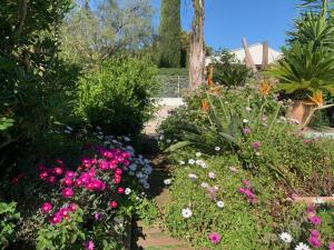 拉隆德莱丝莫里斯LA PASSIFLORE的花园内种有粉红色和白色的花卉和植物