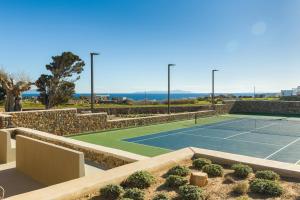 帕罗斯岛ELEONAS Paros estate - villas with partially private pools & professional tennis court的一座种植了植物的网球场和一座网球场