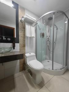 圣地亚哥Concha y Toro 33 Hotel Boutique by Nobile的带淋浴、卫生间和盥洗盆的浴室