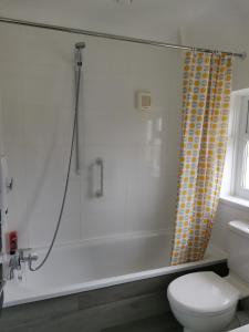 诺丁汉Contemporary 3 bedroom house的带淋浴和卫生间的浴室