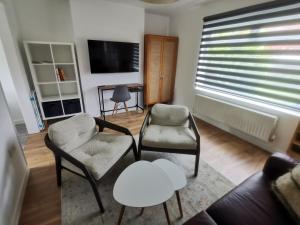 诺丁汉Contemporary 3 bedroom house的客厅配有两把椅子和电视