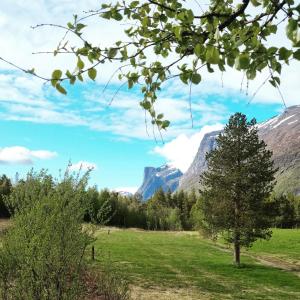 PotkaTørfoss Gård, Hytte utleie, Campingvogn og bobil plasser的山地,有树和山地