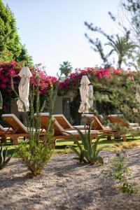 棕榈泉卡萨科迪酒店的花田里一组桌椅