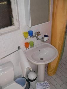 NetoliceChaty U Žabáka的一间带水槽和卫生间的浴室