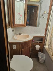 迈阿密花园Fefita RV的一间带水槽、卫生间和镜子的浴室
