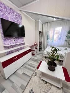 卡拉科尔Komfort Lux Centre Karakol的卧室配有壁挂式大电视