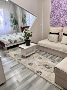 卡拉科尔Komfort Lux Centre Karakol的客厅配有沙发和桌子