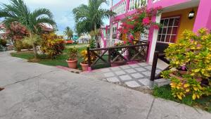 普罗维登西亚Posada Ashanty的粉红色的房子,有栅栏和一些植物