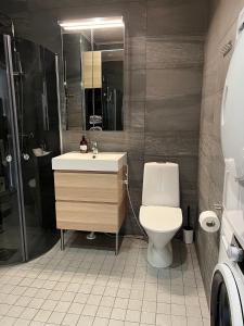 瓦萨Ihana huoneisto - The Nest with Sauna in VAASA的浴室配有卫生间、盥洗盆和淋浴。