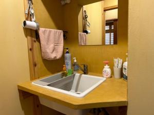 高森町SABOJI - Vacation STAY 34252v的一间带水槽和镜子的浴室