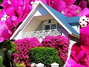 弗朗斯胡克Fleur du Soleil Luxury Guesthouse的前面有粉红色花的房子