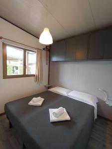 加达湖畔帕登赫Villaggio Turistico dei Tigli的一间设有床铺的房间,上面有两条毛巾