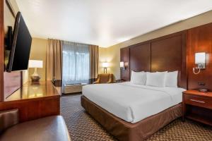 考蒂利亚科迪莉亚康福特茵酒店的酒店客房设有一张大床和一台电视。