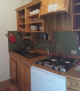 科尔福索Supermountainski Colfosco的厨房配有木制橱柜和炉灶烤箱。
