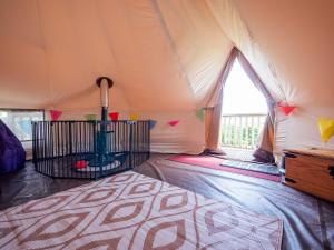 帕YHA伊甸园项目旅舍的帐篷内的一个床位房间