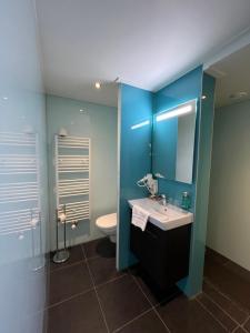 羊角村德佩尔戈拉酒店的一间带水槽和卫生间的浴室以及蓝色的墙壁。