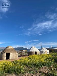 博孔巴耶沃Yurt camp Sonun的花田里三个圆顶的一组