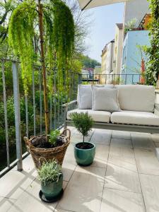 梅森Pension22的一个带沙发和两株盆栽植物的庭院