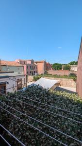 威尼斯丽都Casa Rosabianca - Ristrutturata的建筑屋顶上的一束植物
