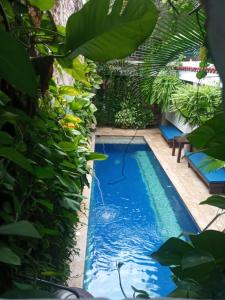 卡塔赫纳Casa Pizarro Hotel Boutique的花园内的游泳池