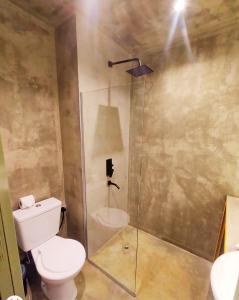 门多萨Hotel Windsor Mendoza的一间带卫生间和玻璃淋浴间的浴室