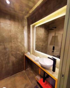 门多萨Hotel Windsor Mendoza的一间带水槽和镜子的浴室