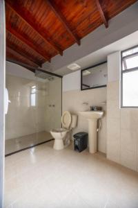 麦德林Mándala Botero Medellín的浴室配有卫生间、淋浴和盥洗盆。