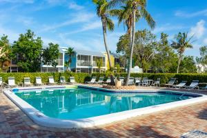 基拉戈Kawama Yacht Club Apartment的度假村内带椅子和棕榈树的游泳池