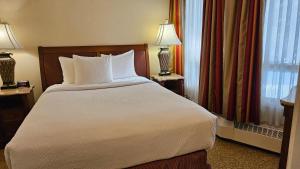 路易斯湖路易斯湖酒店 的一张位于酒店客房的大床,设有窗户